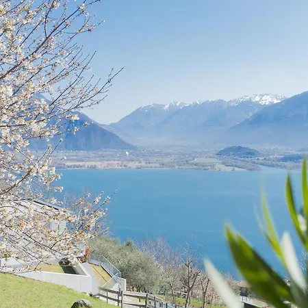 Valarin Luxury & Wellness, By Rent